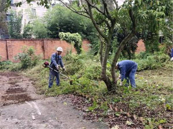美化環(huán)境凝人心 雨中堅守顯真情——隆山科峰公司黨支部開展主題黨日活動3.jpg
