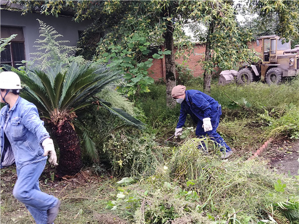 美化環(huán)境凝人心 雨中堅守顯真情——隆山科峰公司黨支部開展主題黨日活動2.jpg